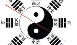 八卦爆料玩法视频大全下载,揭秘热门游戏攻略与技巧