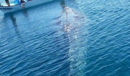 7天在线观看,盘点一周热门影视佳作